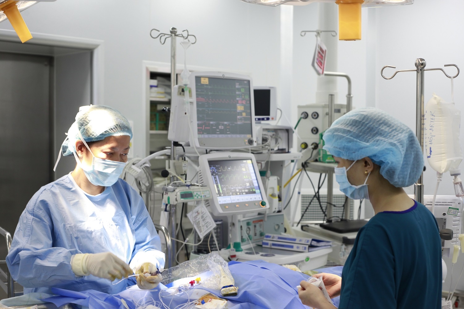 Dat stent mach vanh anh 1