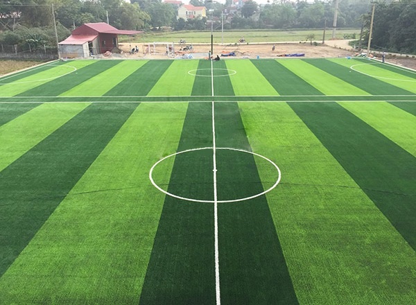 Sân cỏ nhân tạo ảnh 6 San co nhan tao anh 6