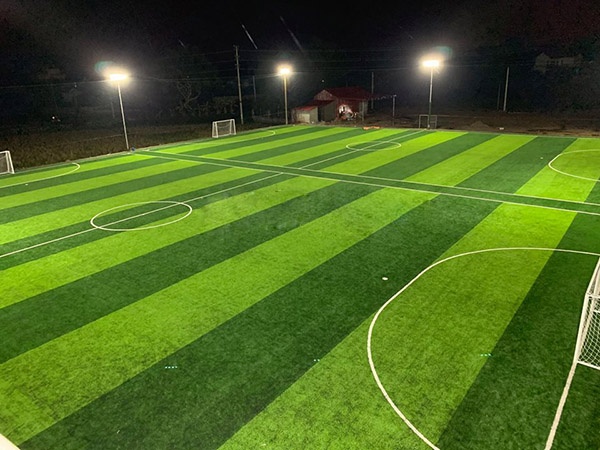 Sân cỏ nhân tạo ảnh 7 San co nhan tao anh 7