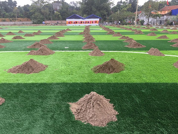 Sân cỏ nhân tạo ảnh 4 San co nhan tao anh 4