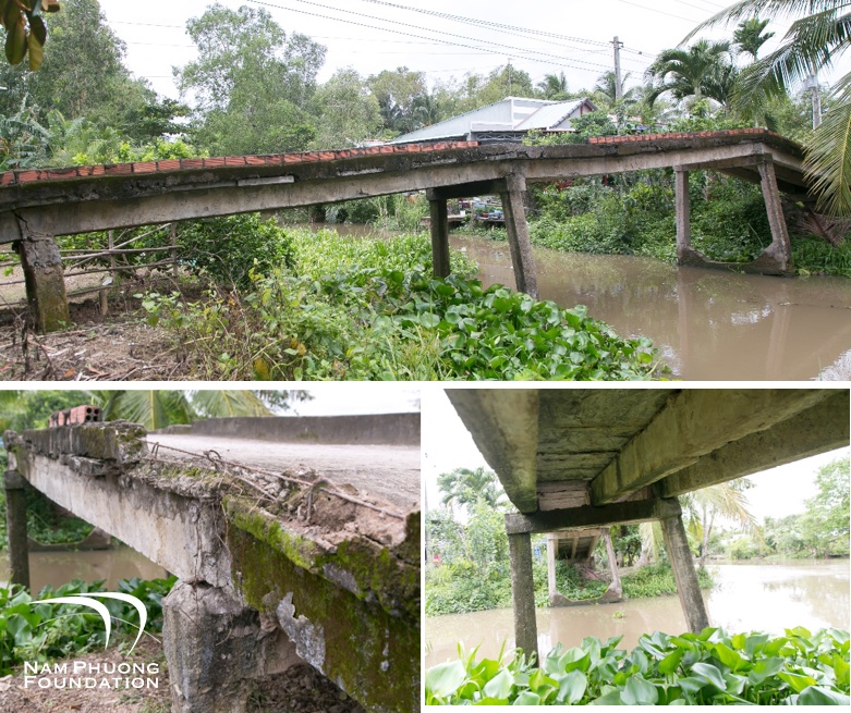 Quỹ thiện nguyện Nam Phương ảnh 1 Quy thien nguyen Nam Phuong anh 1