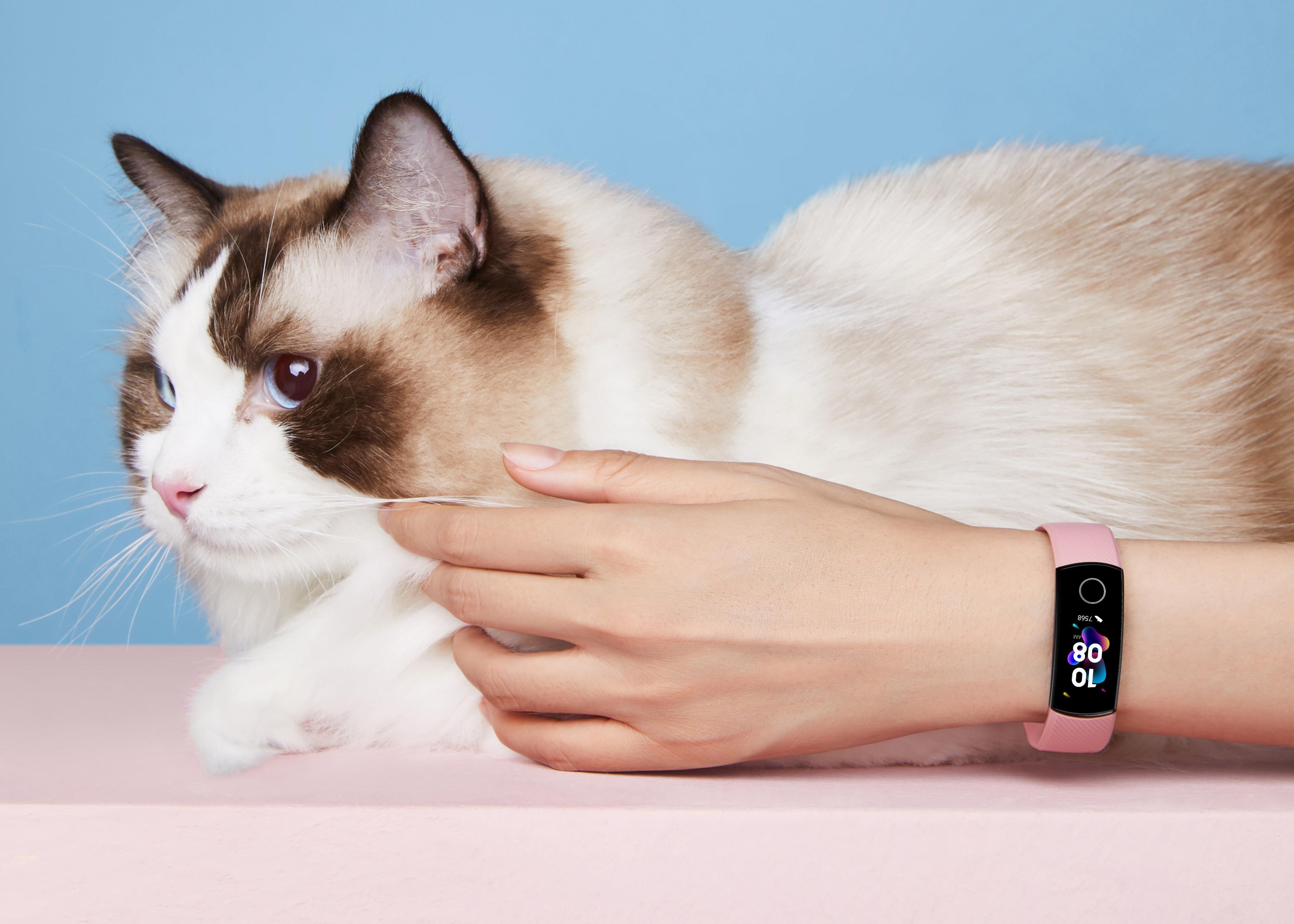 Nguoi dung Viet san don Honor Band 5 vi nhung ly do nay hinh anh