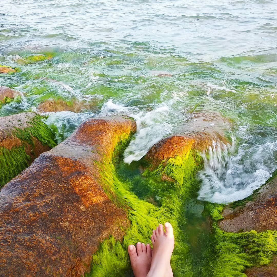 NovaWorld Phan Thiet anh 17