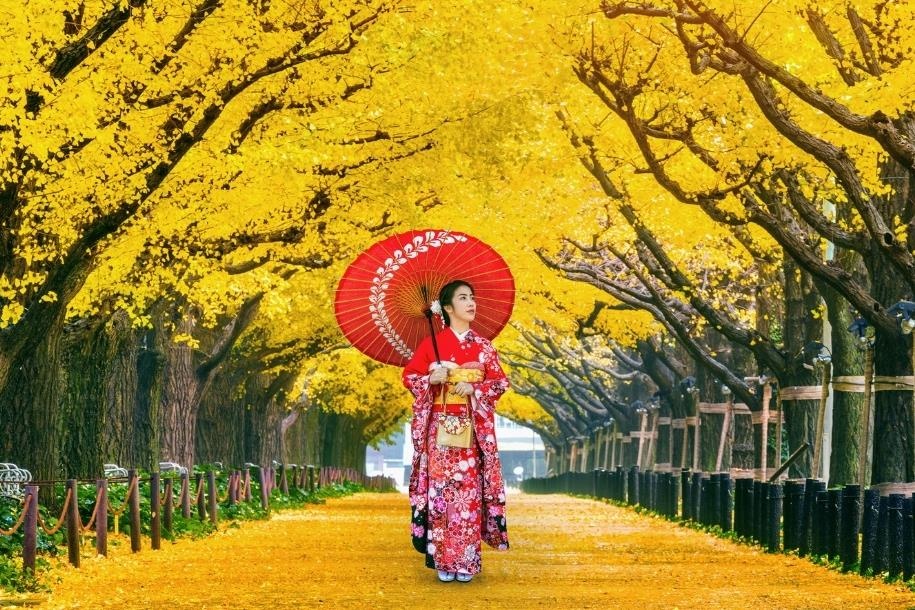 Chu du mot Nhat Ban that khac khi vao thu tren cung duong du lich moi hinh anh