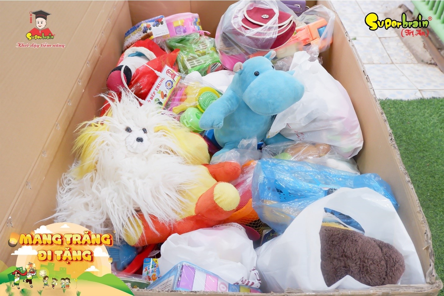 Superbrain Viet Nam anh 3