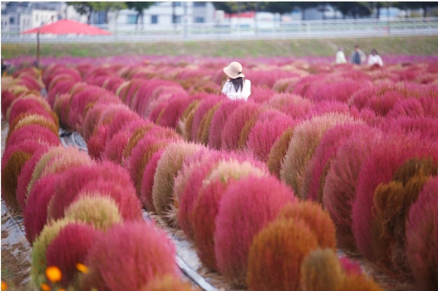 Công ty TNHH Cat Tour Việt Nam ảnh 3 Cong ty TNHH Cat Tour Viet Nam anh 3