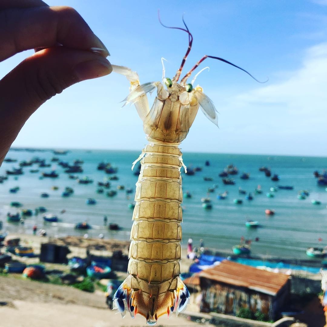 NovaWorld Phan Thiet anh 13