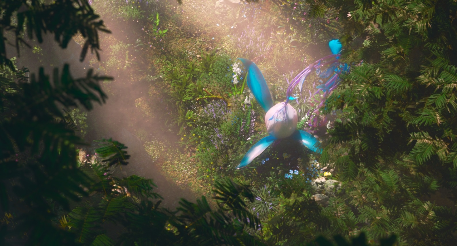 Người lạ ơi ảnh 4 Nguoi la oi anh 4