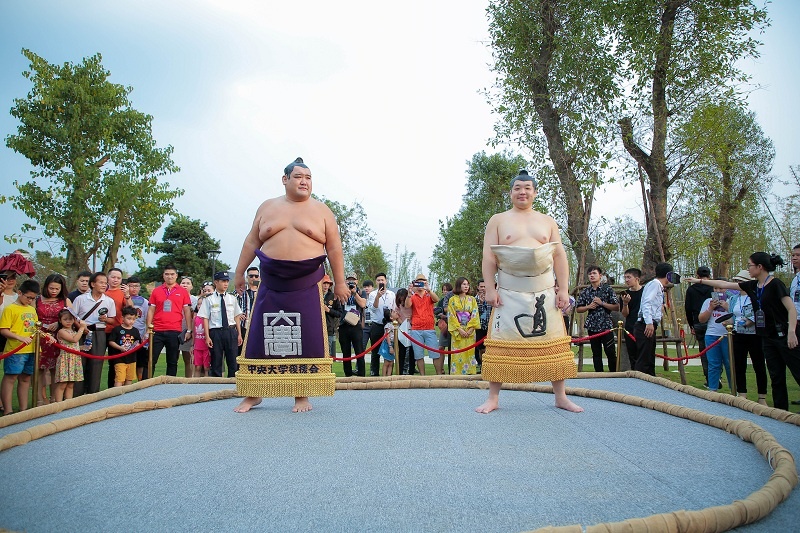 Dem nhac tai vuon Nhat anh 5