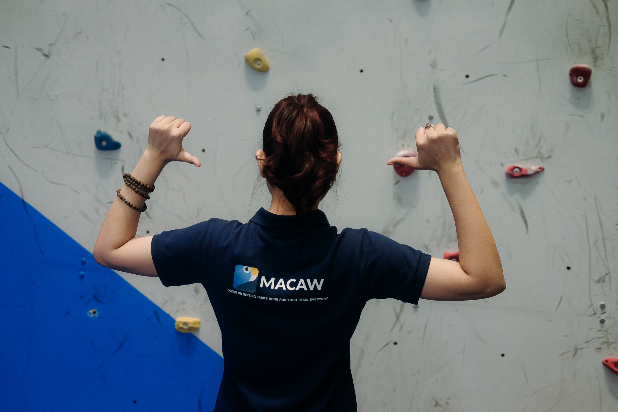 Macaw ảnh 4 Macaw anh 4