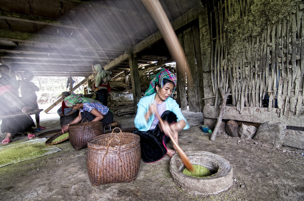 Le Champ Resort anh 3