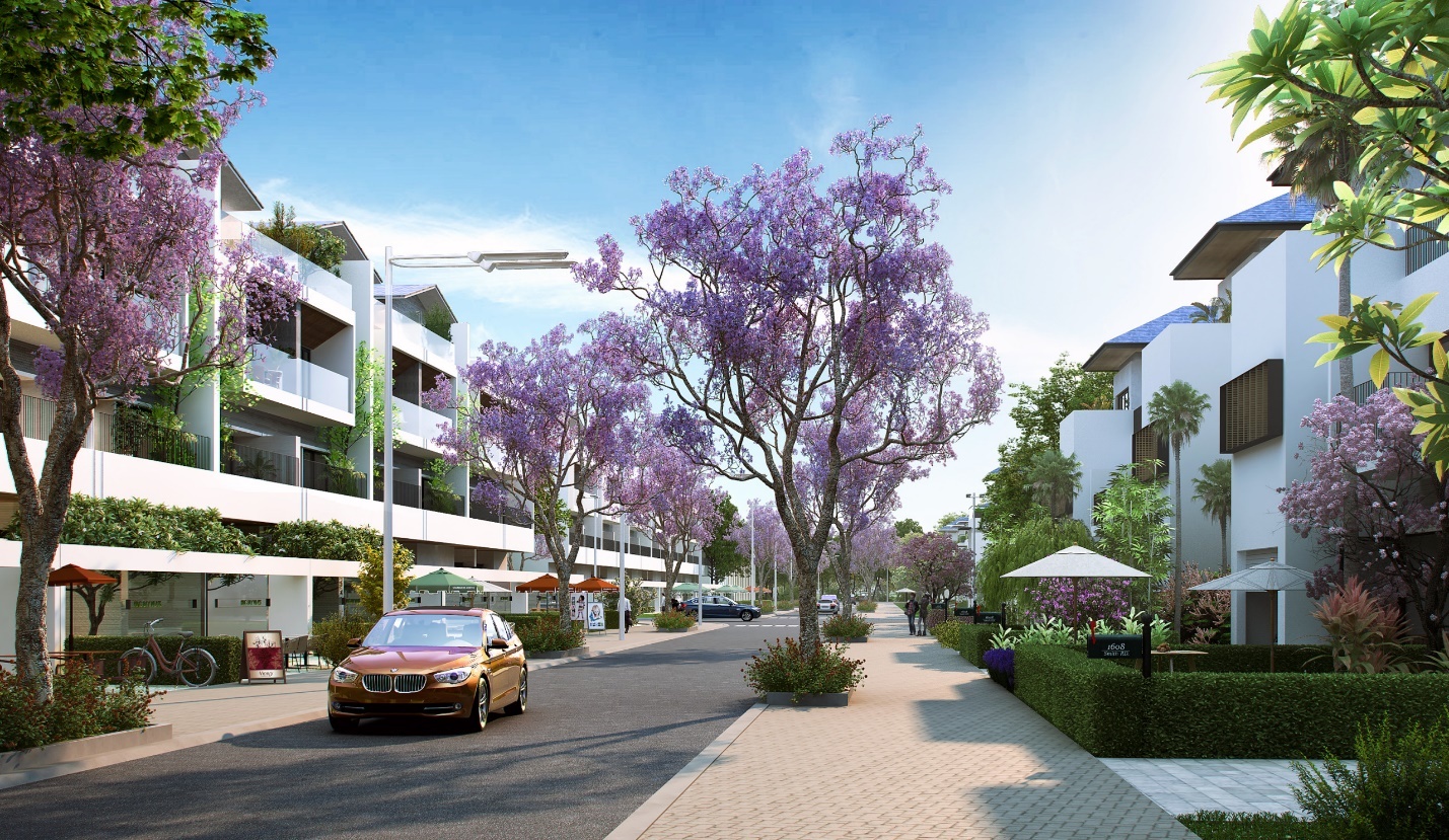 King Bay ảnh 4 King Bay anh 4