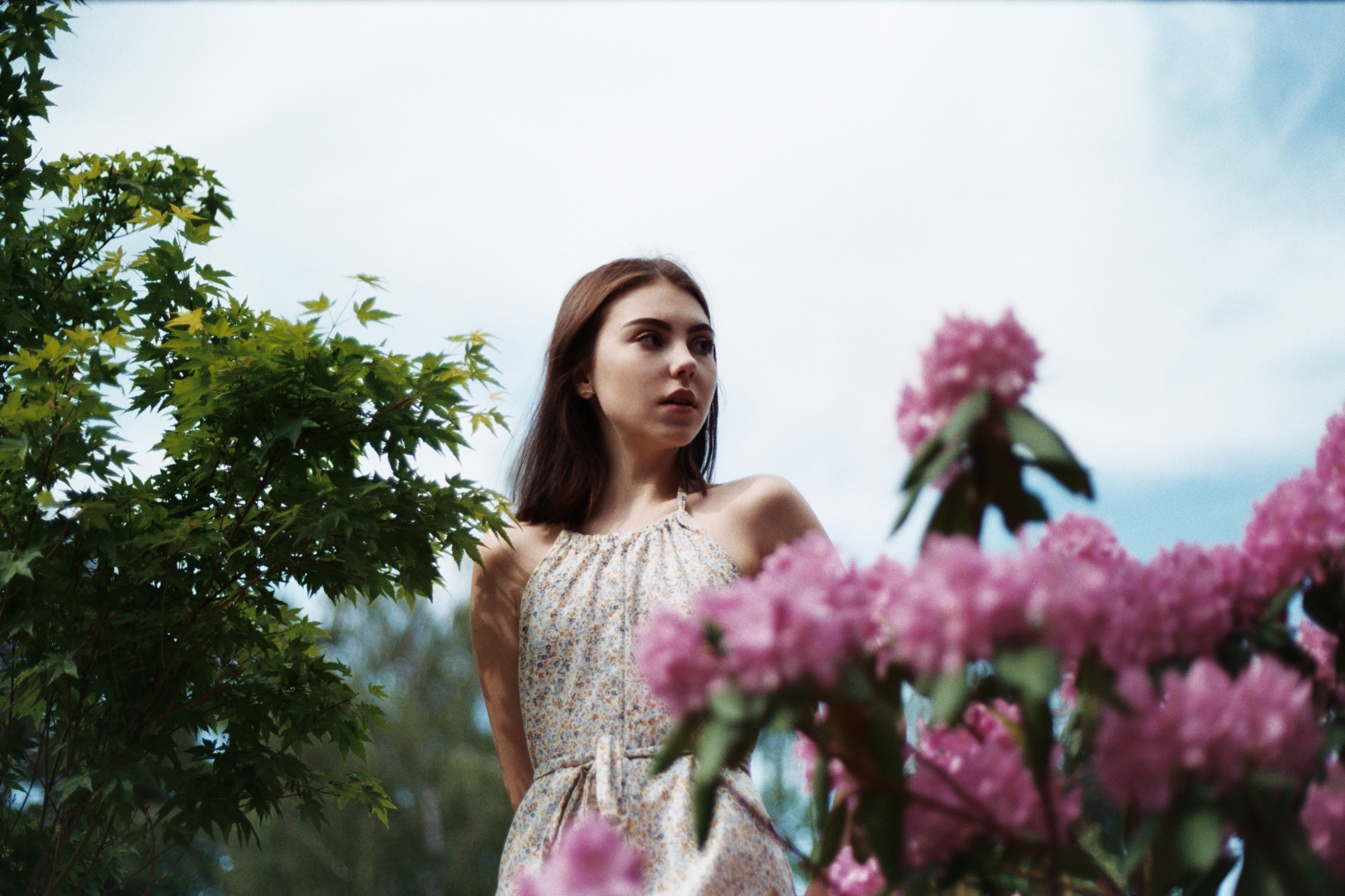 Comfort hương nước hoa thiên nhiên ảnh 3 Comfort huong nuoc hoa thien nhien anh 3