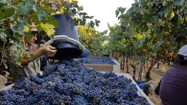 Vietrantour ảnh 4 Vietrantour anh 4