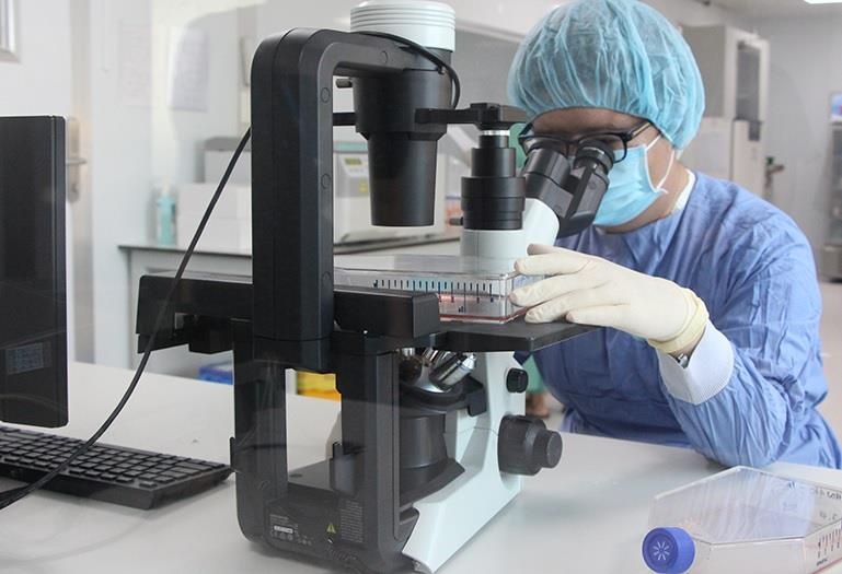 Vien Te bao goc benh vien quoc te DNA dat chung chi GMP-WHO hinh anh