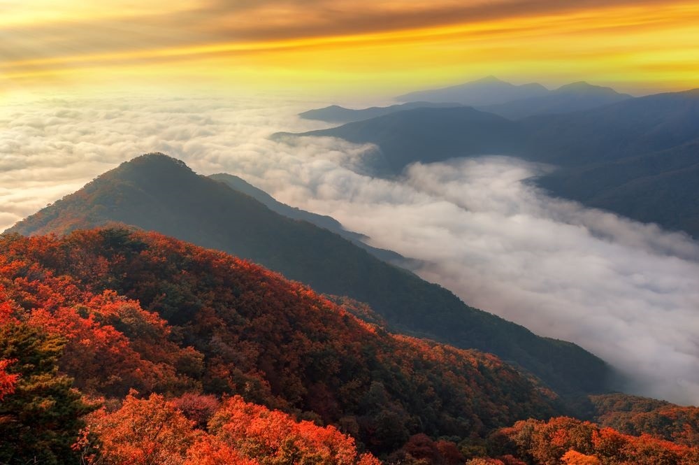 du lich mua thu anh 4