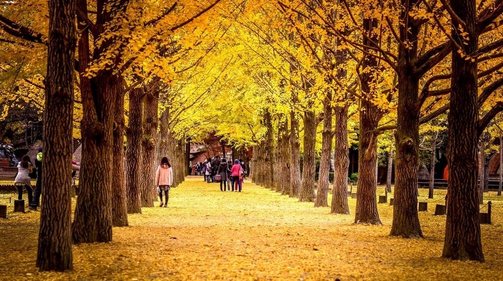 du lich mua thu anh 5