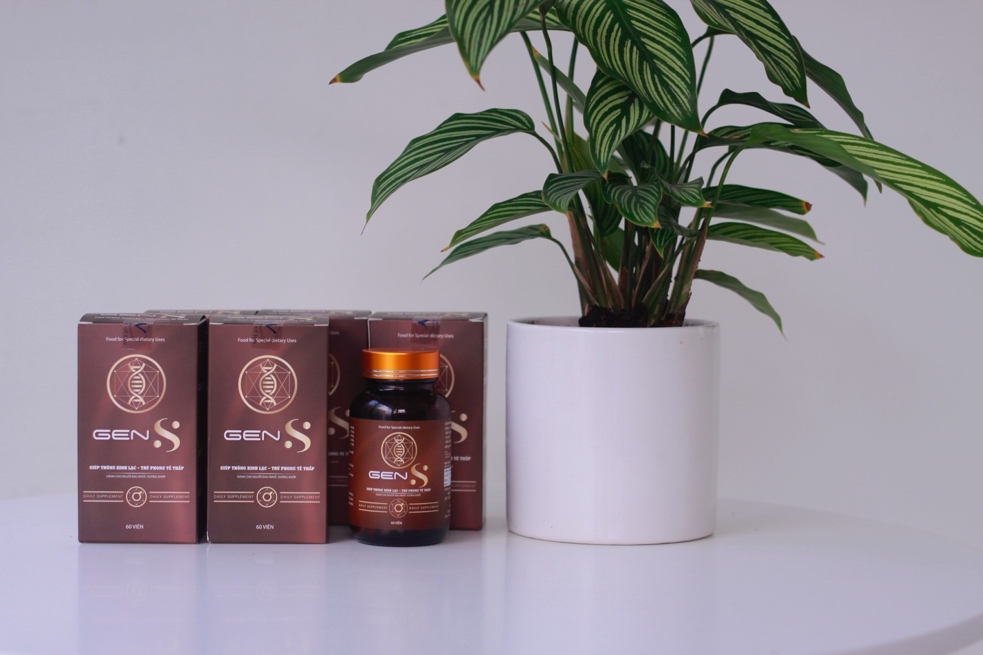 Gen S ảnh 1 Gen S anh 1