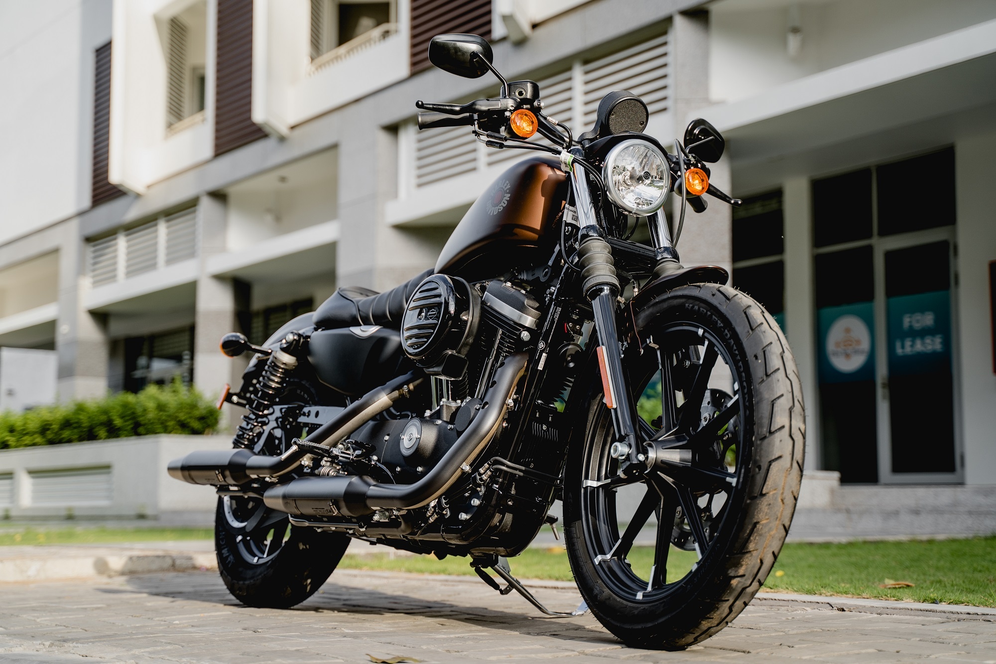Harley-Davidson co gi khac biet so voi xe cung phan khuc? hinh anh