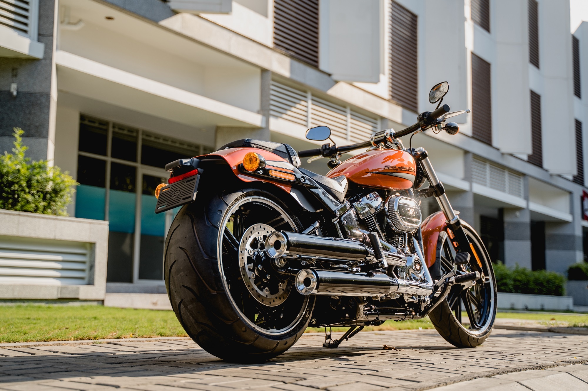 Tiki mo ban Harley-Davidson anh 3