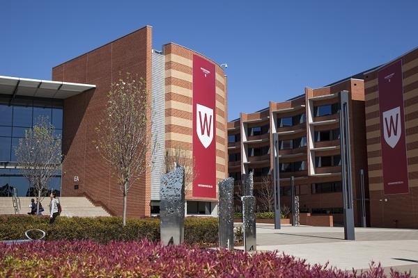 Western Sydney vao top 300 dai hoc tot nhat toan cau hinh anh