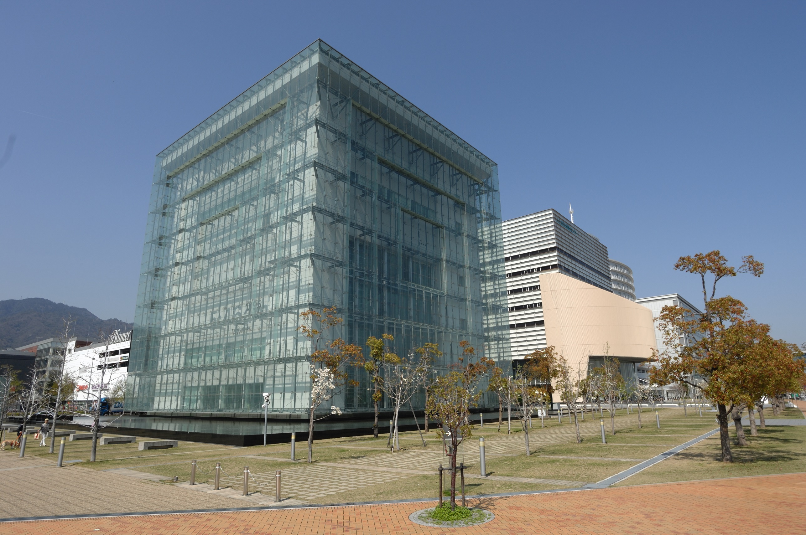 Noi truyen tai kinh nghiem, thong diep sau tran dong dat Hanshin Awaji hinh anh