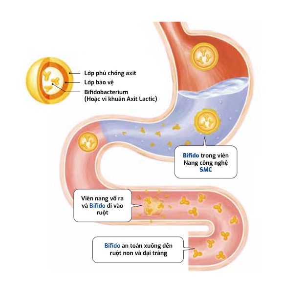 Bifina S ảnh 2 Bifina S anh 2