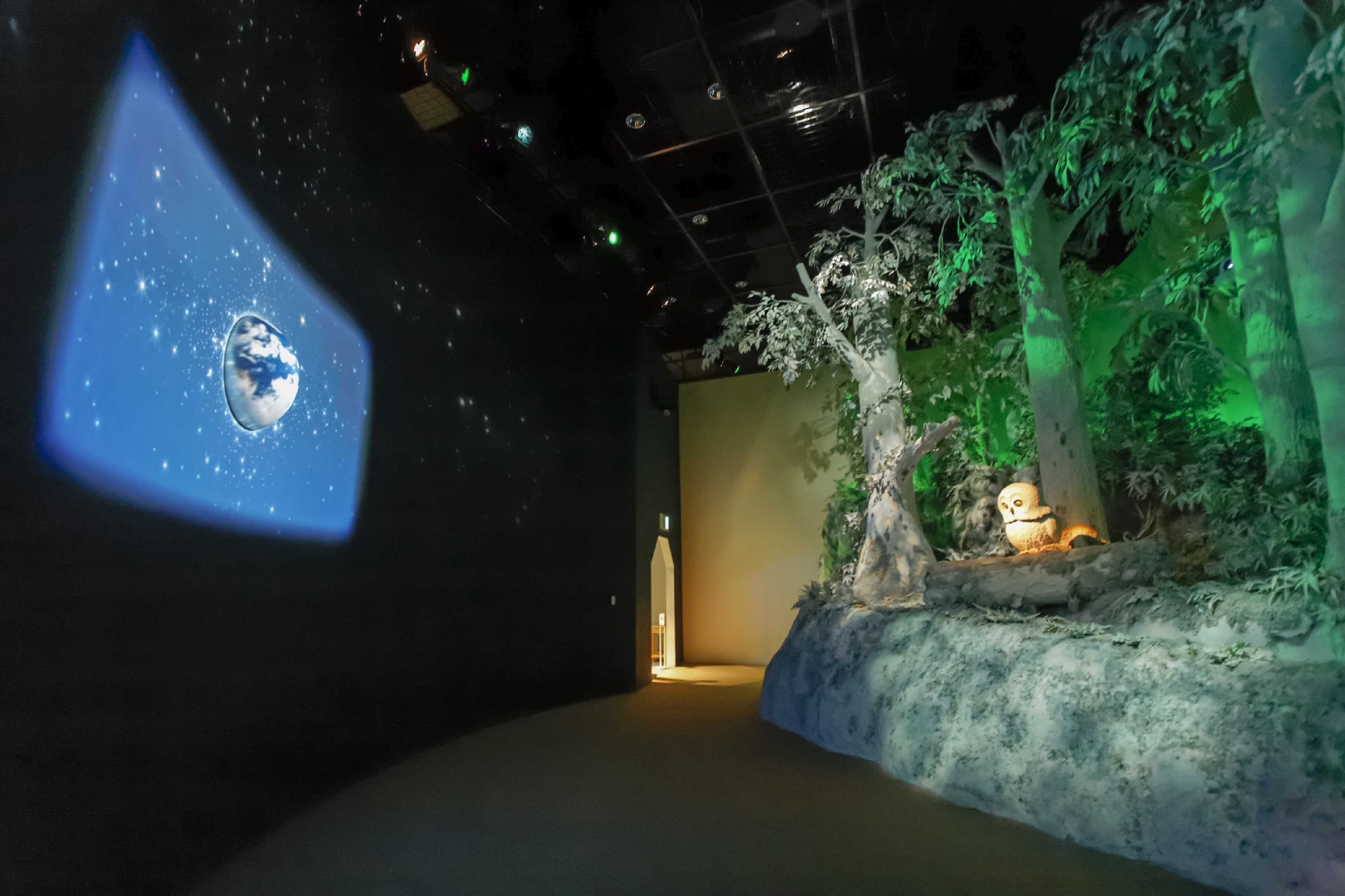 Trung tam Tuong lai Con nguoi va Phong chong thien anh 12