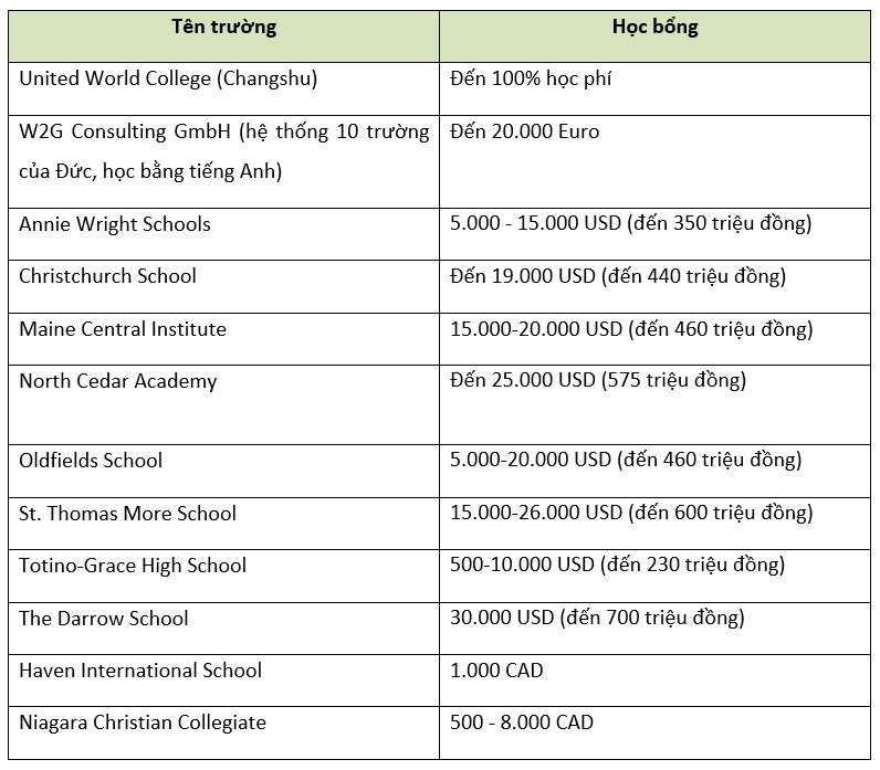 Capstone Viet Nam anh 4