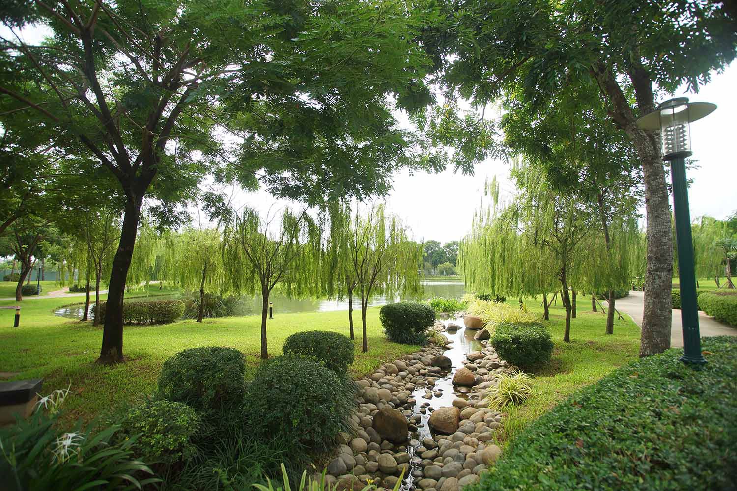 celadon ảnh 3 celadon anh 3