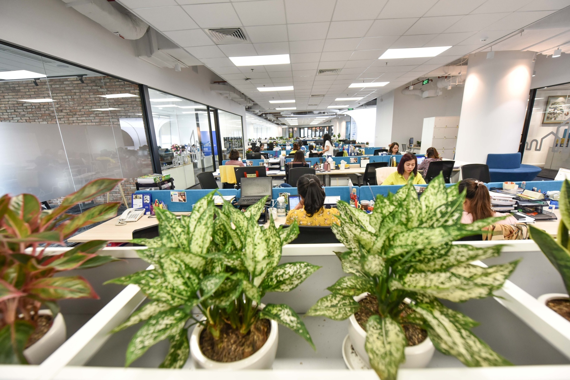 van phong trieu USD anh 6