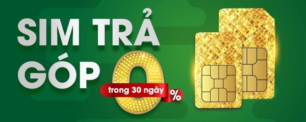 Sim Thanh Cong anh 1