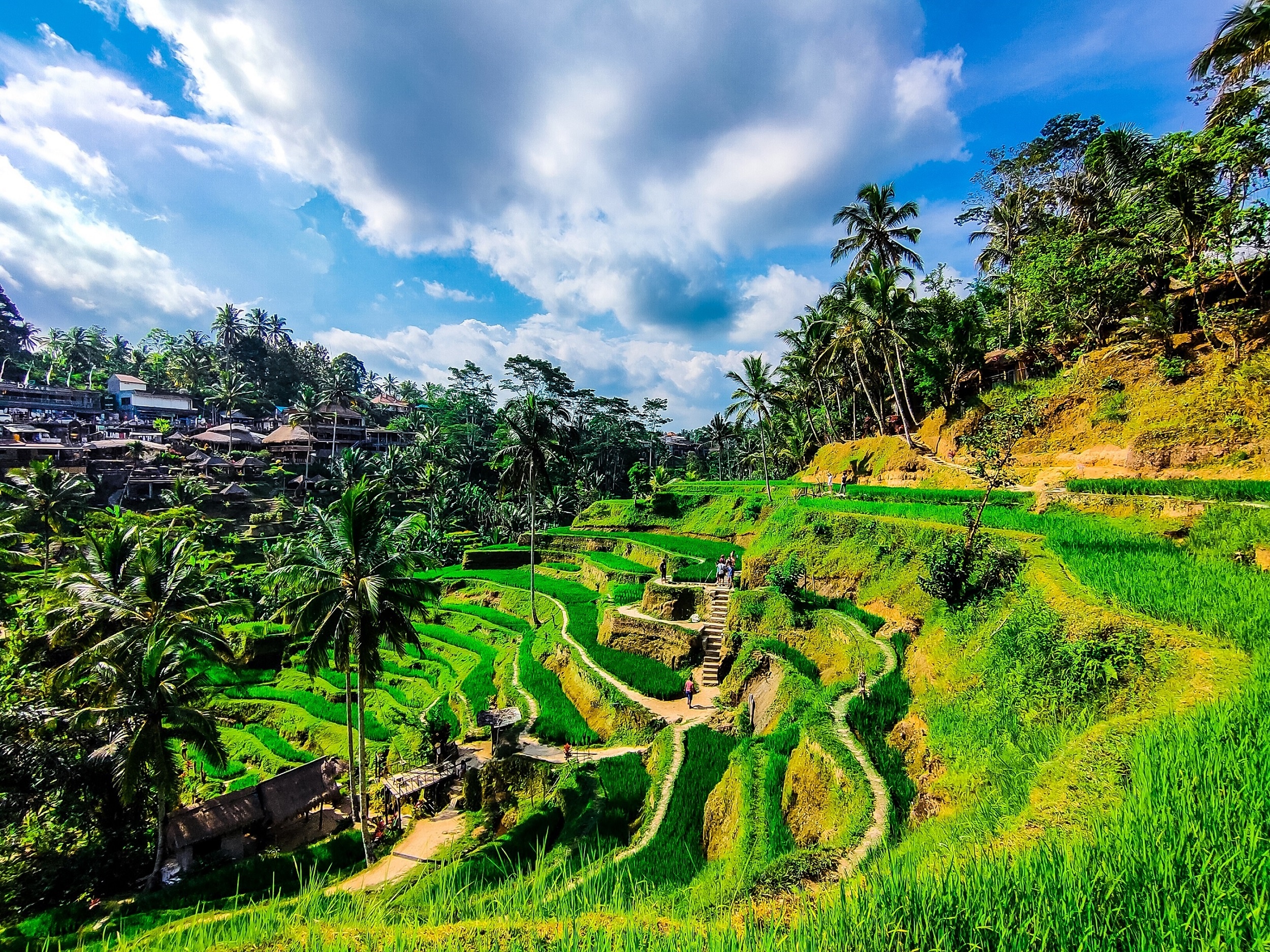 Kham pha xu dao Bali duoi goc may Oppo Reno2 hinh anh