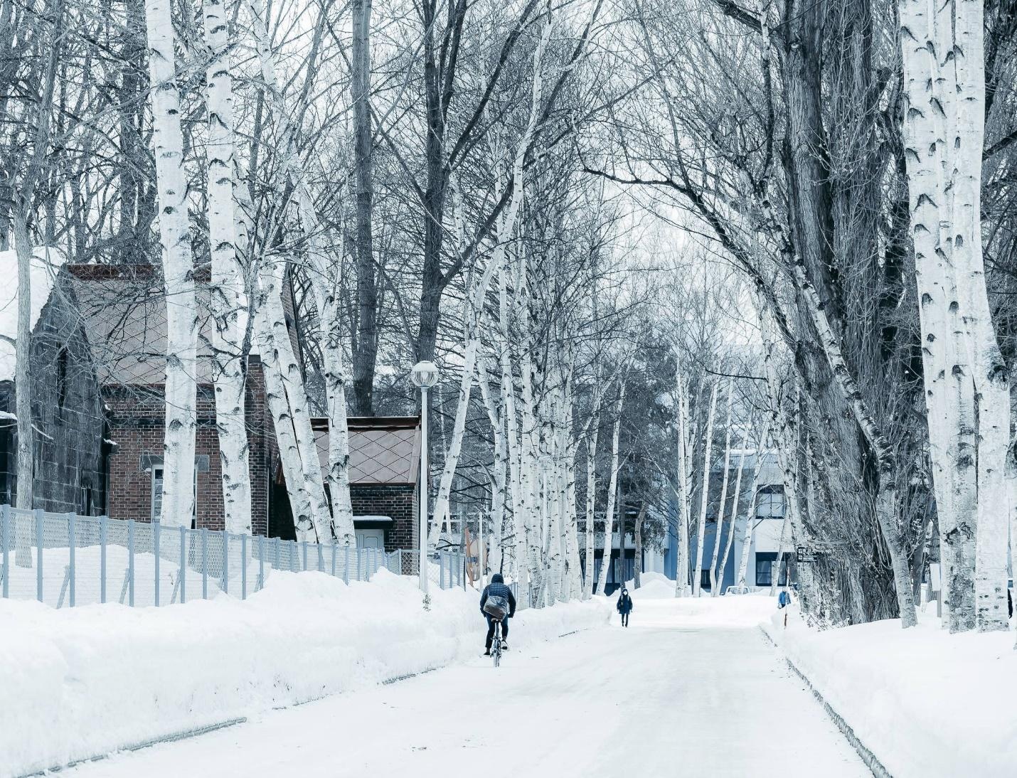 ANA ảnh 1 ANA anh 1