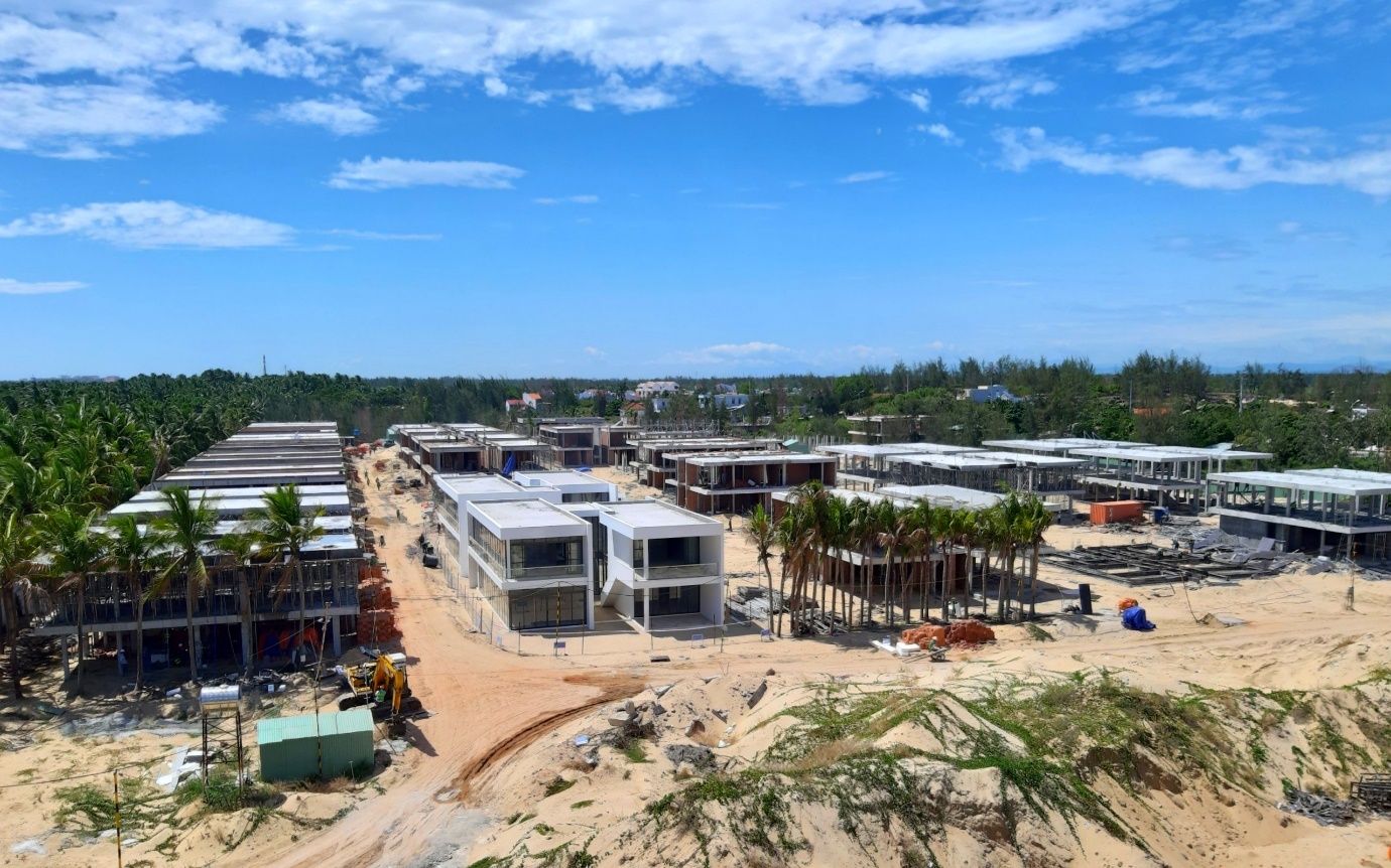 Bamboo Capital anh 2