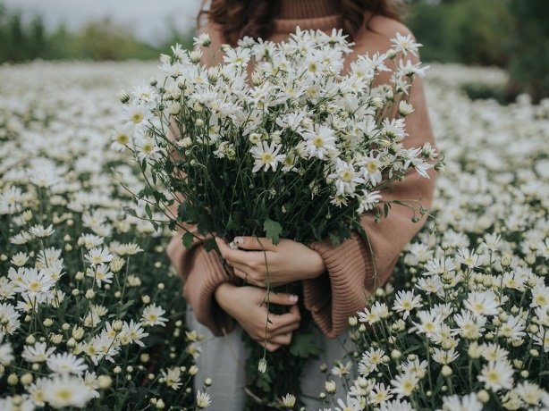 Vascara ảnh 2 Vascara anh 2