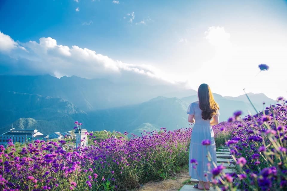 Sun World Fansipan Legend anh 10