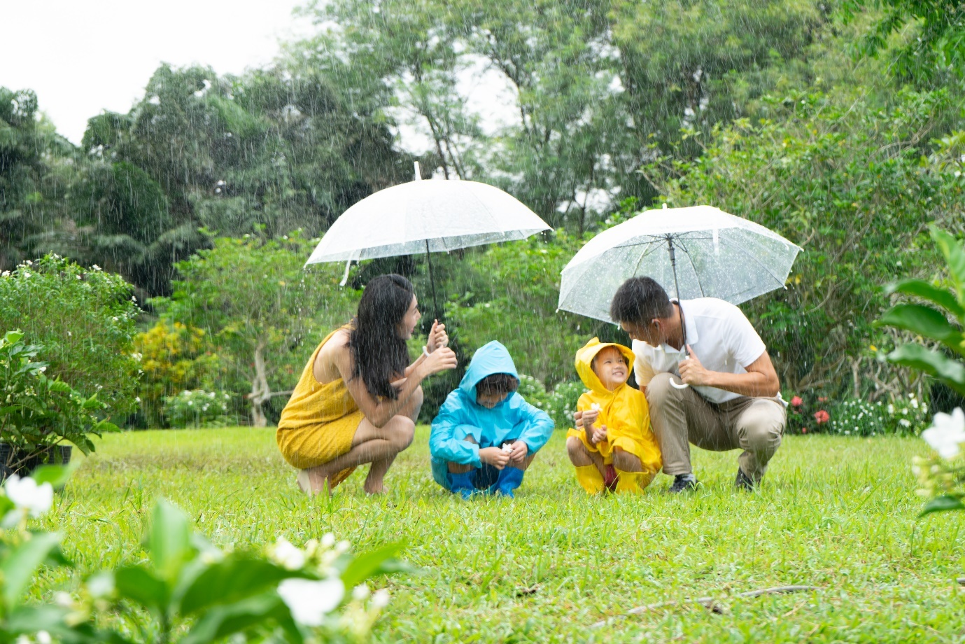 Similac ảnh 2 Similac anh 2