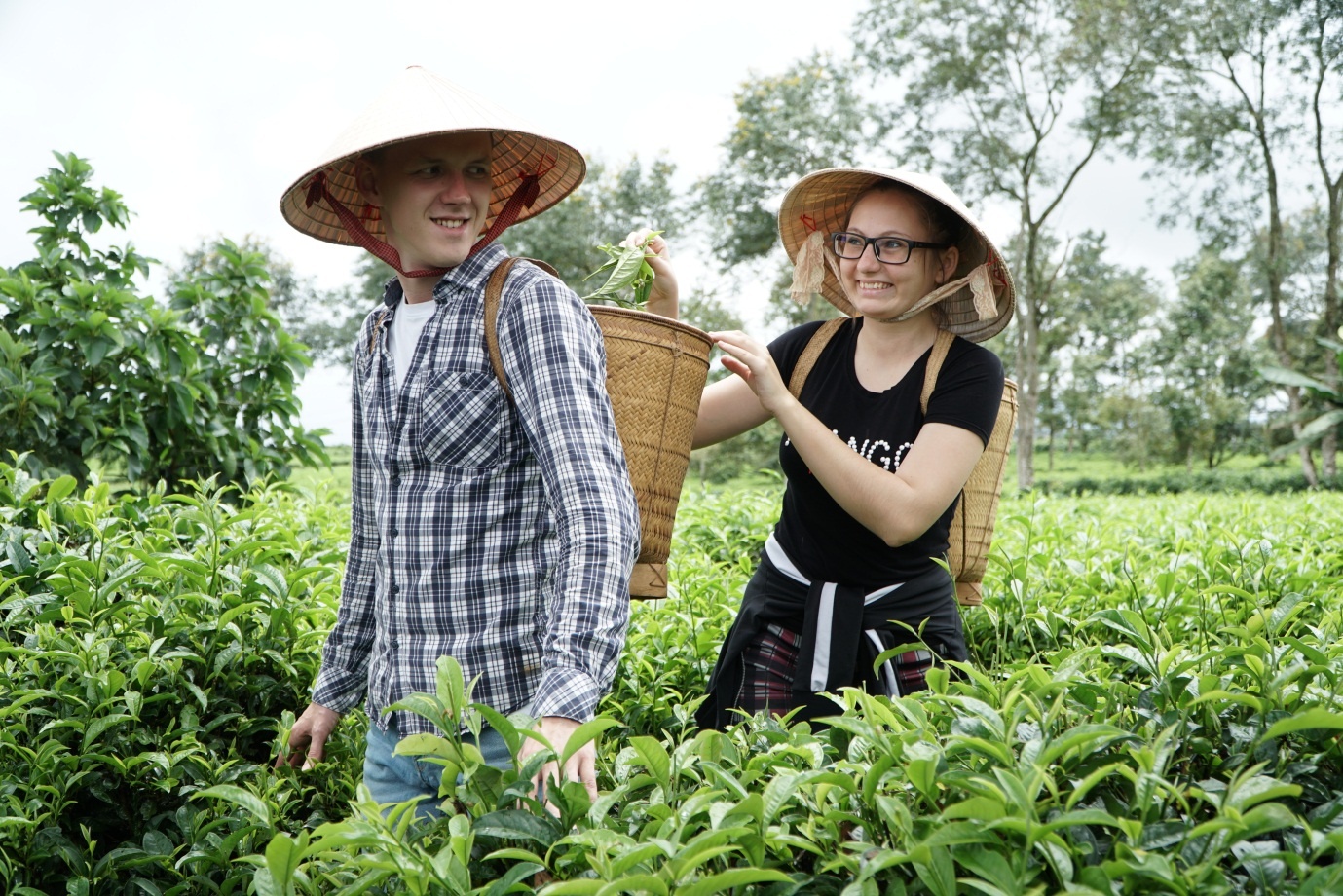 Len lich trinh kham pha Bao Loc ngay cuoi tuan hinh anh