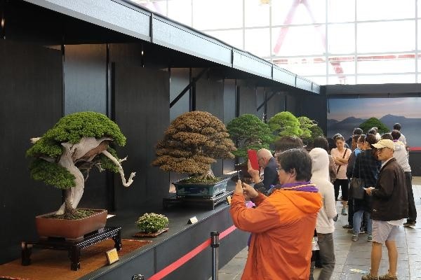 Lễ hội Bonsai và Suiseki châu Á - Thái Bình Dương ảnh 2 Le hoi Bonsai va Suiseki chau A - Thai Binh Duong anh 2