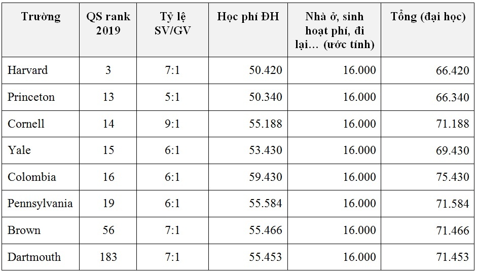 VinUni  ảnh 2 VinUni anh 2