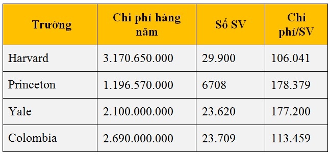 VinUni  ảnh 3 VinUni anh 3