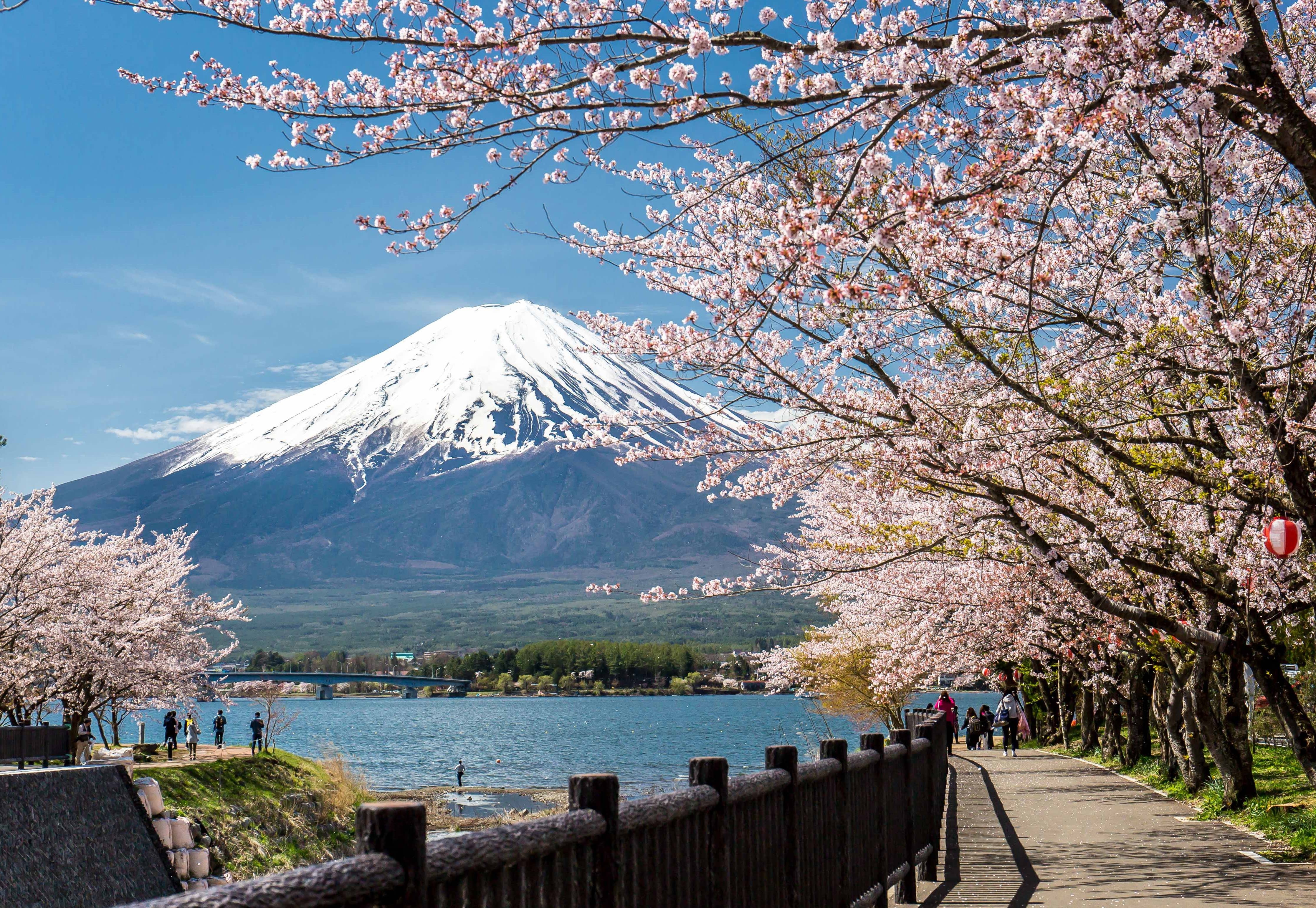 BenThanh Tourist Đà Nẵng ảnh 3 BenThanh Tourist Da Nang anh 3