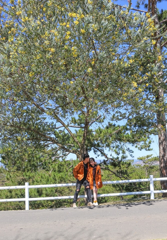 TTC World - Thung lung Tinh yeu anh 2