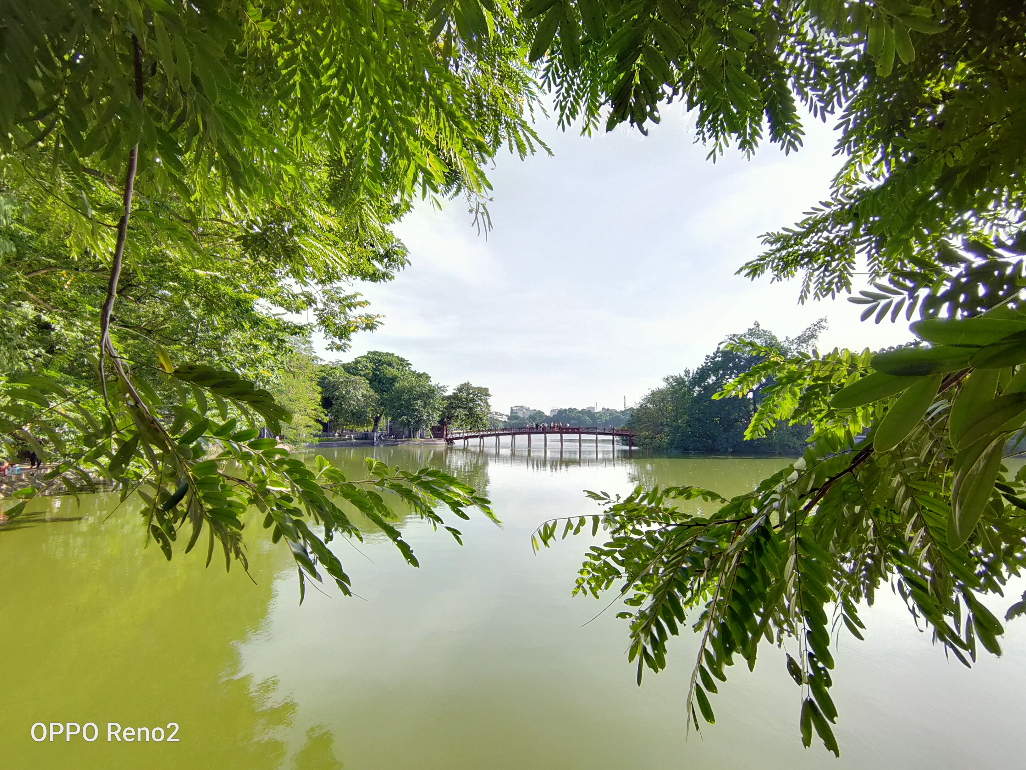 da chieu sang tao anh 13