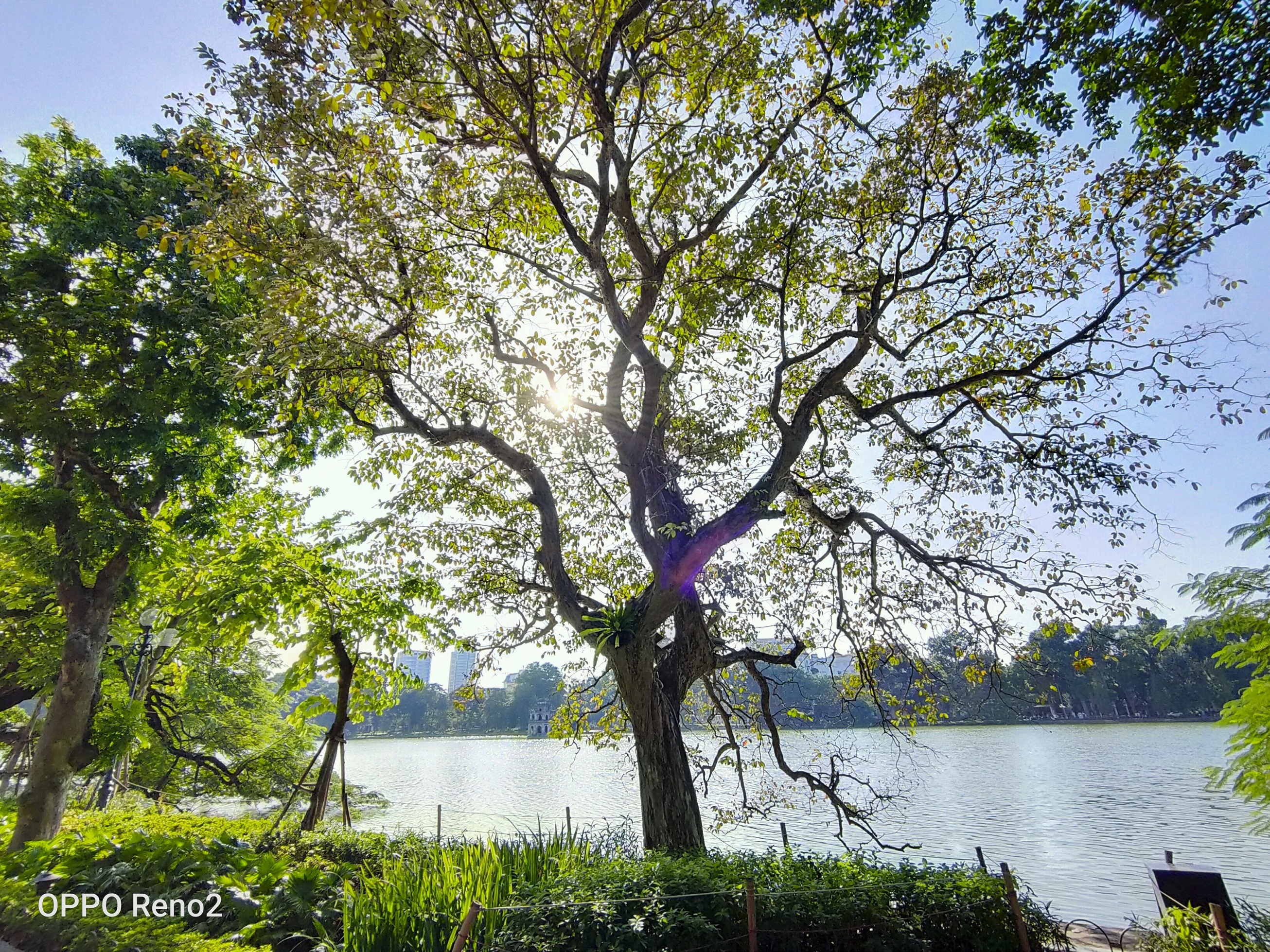 da chieu sang tao anh 10