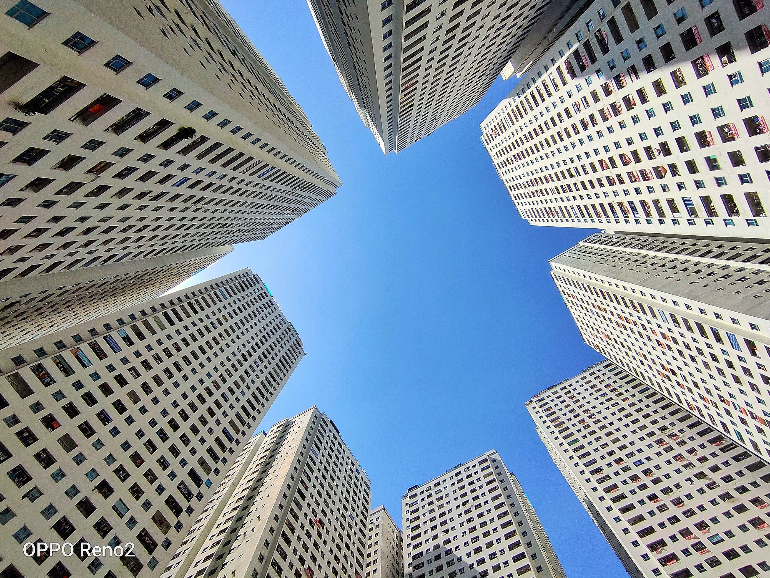 da chieu sang tao anh 2