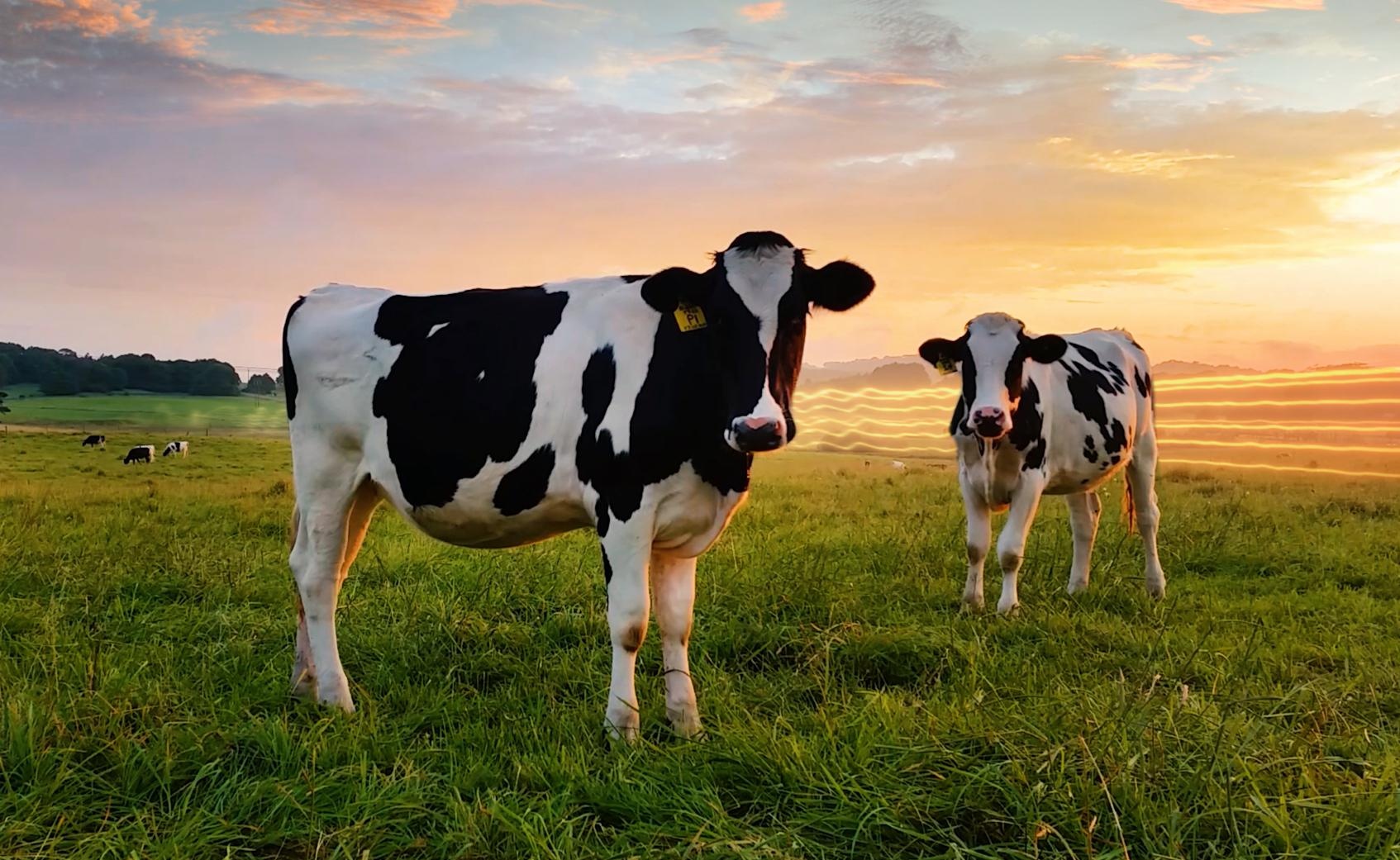 FIFA Online 4 ảnh 2 FIFA Online 4 anh 2