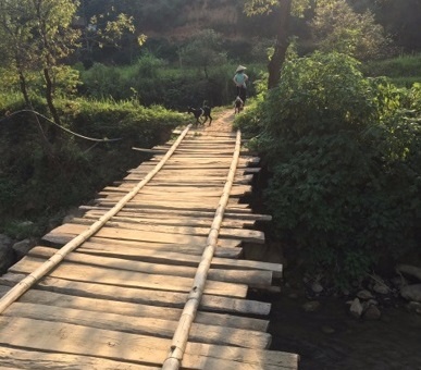 xay cau vung lu anh 1