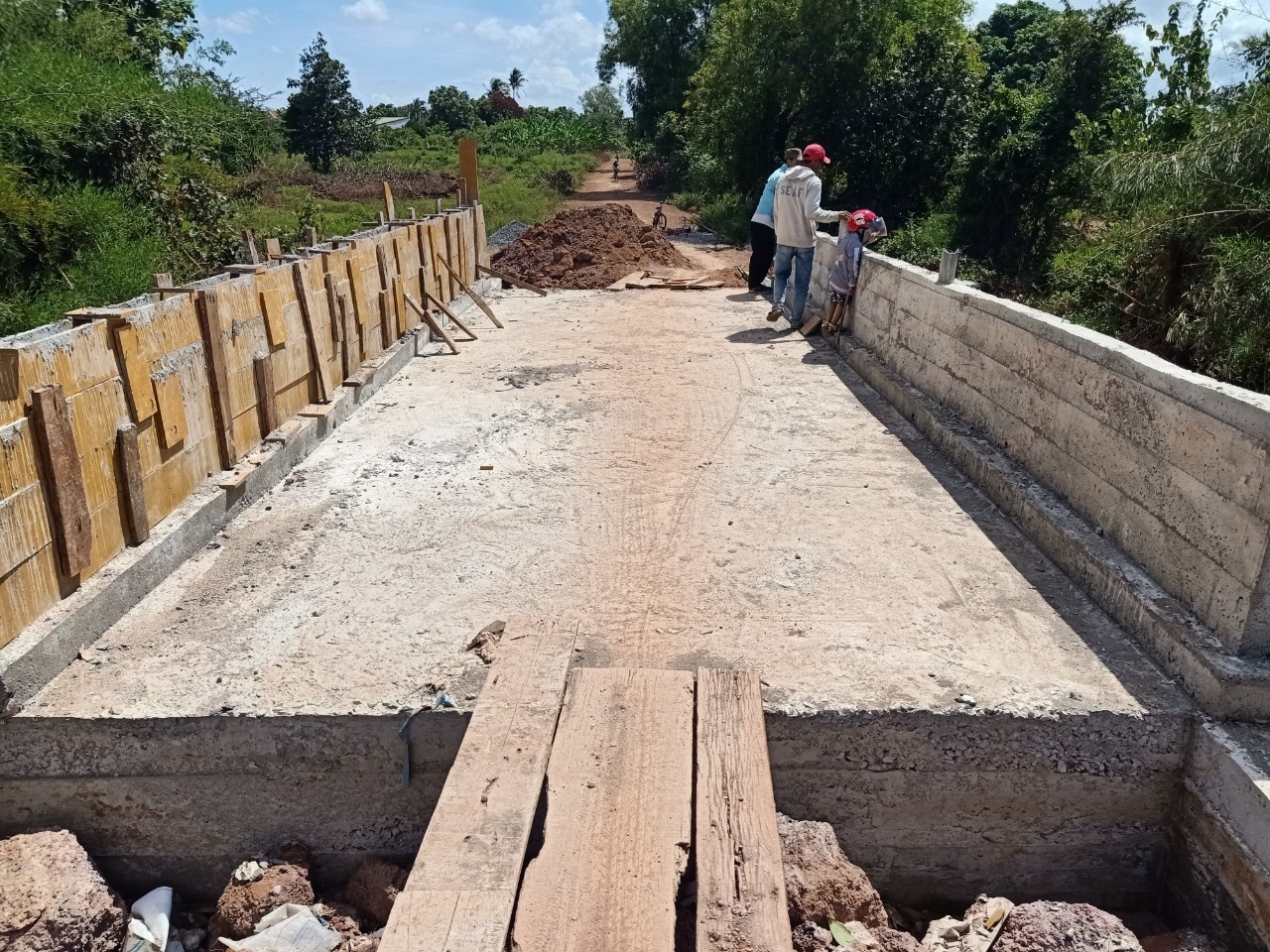 xay cau vung lu anh 9